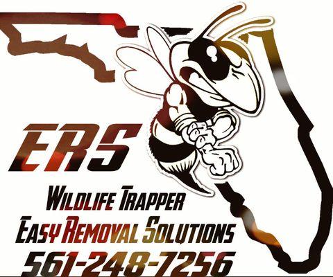 #wildlifetrapping #animalconrol #wildliferemoval #southfloridawildlife #beeremoval #beehiveremoval #batremoval