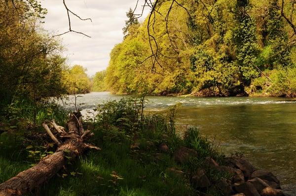 Canby Grove Christian Center is located right on the Molalla River.