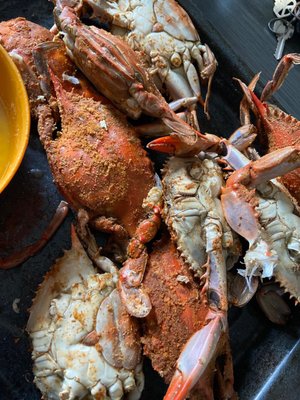 Female blue crabs.