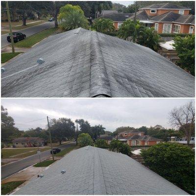 Before and after roof soft washed