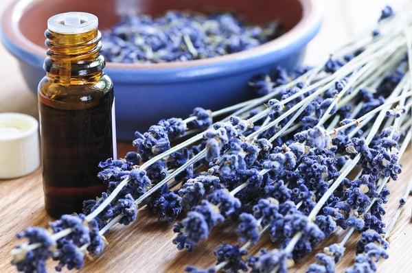 Customers love the convenience of warren country Tennessee shop carrying dried lavender, oil, fragrance oil and warming melts