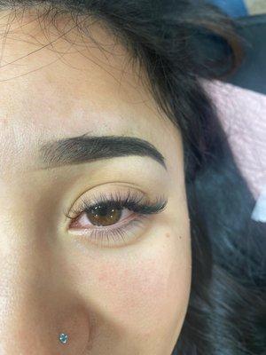 Volume Lashes