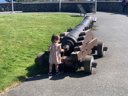 Cannon