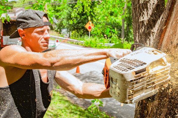 Zip's Tree Service