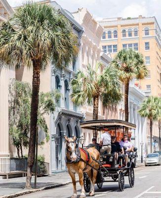 Downtown Charleston Carriage Rides