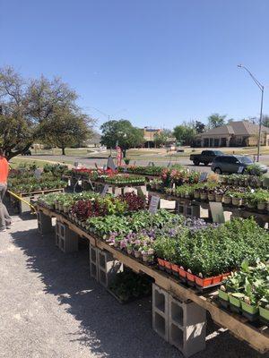 Spring time at Brick's Garden Exchange