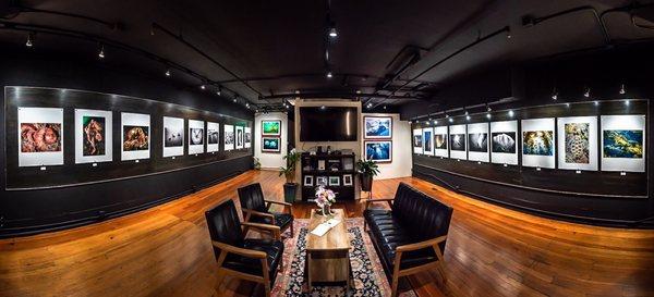 Bradley Photographic Gallery