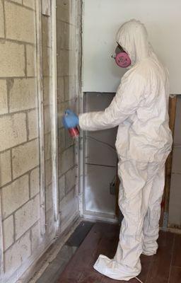 Mold damage remediation