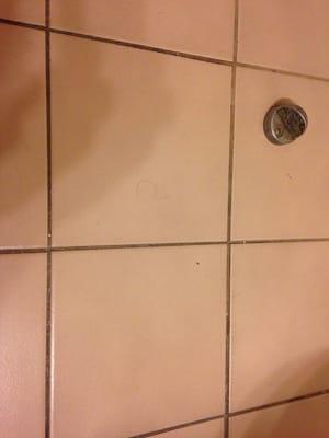 Pubic hair on bathroom floor upon checking in.