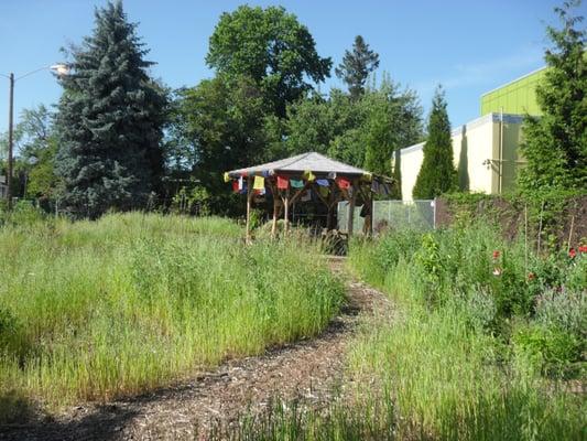 Natural  Playscape at NDS