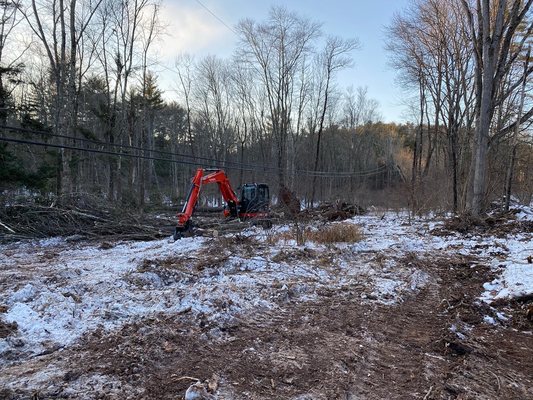 Land clearing for new house