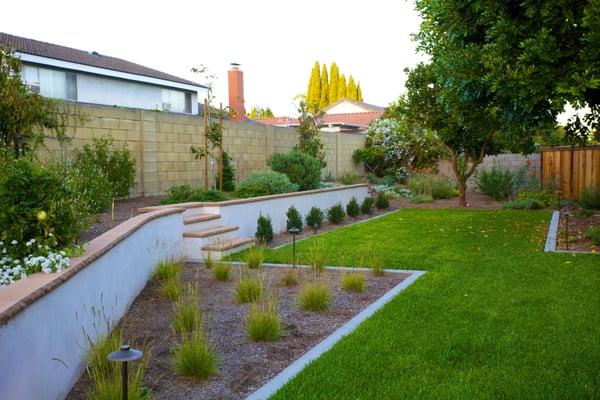 modern planting with drought tolerant plants.