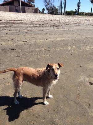 We love the beach!