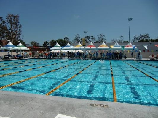 Aquatics arena