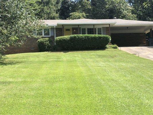 Lawn Maintenance & Shrub Trimming weekly, biweekly or as needed.