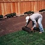 New sod lawn installation in San Francisco.