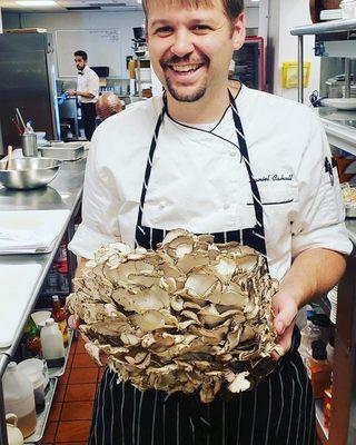 Chef Cahall with Giant Miatake (Hen of the Woods) Mushroom