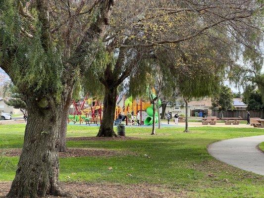 Marshall Park playground