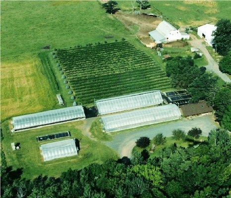 Bashaw Valley Farm and Greenhouse