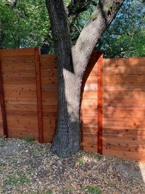 Fence around tree