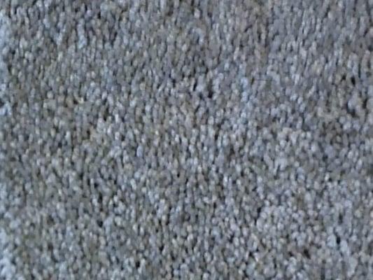 DJV Carpet