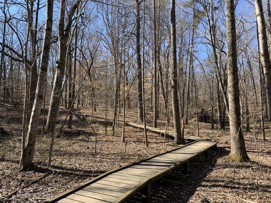 boardwalk portion of loop trail