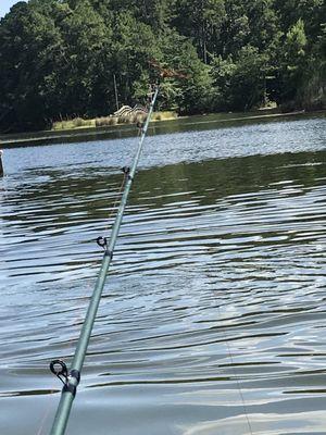 I went fishing while I canoed. I didn't catch any fish, but it was still a great experience.