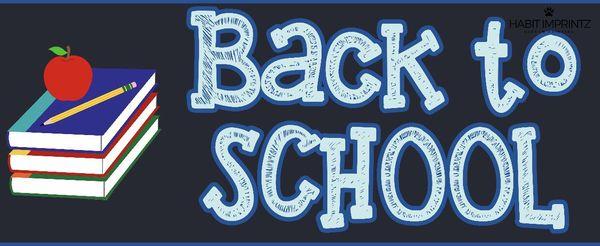 Huge back to school banner