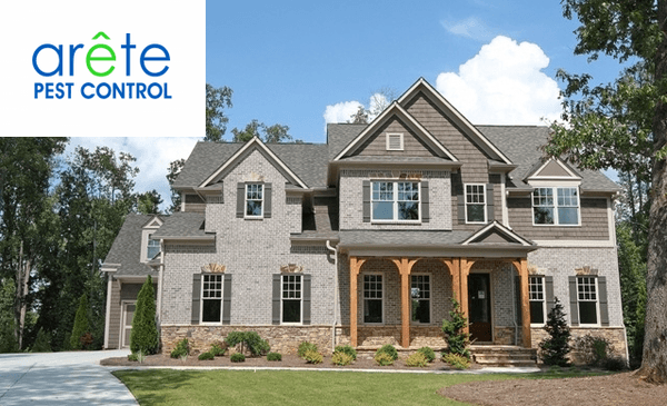 Protect your home with Arete Pest Control