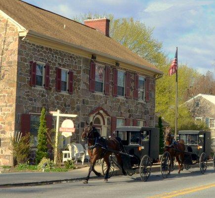 Amish Parade of buggies on their way to Church