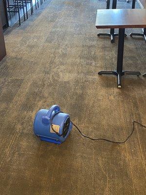 Fan drying carpet