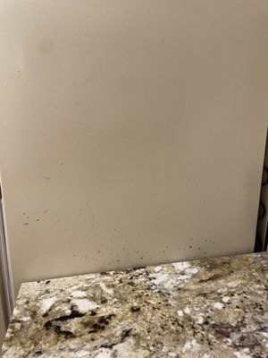 Dirty counter