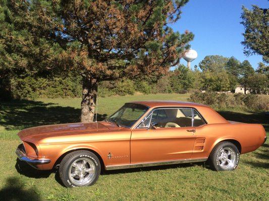 Completed 1967 mustang painted original copper color.