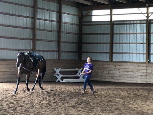 Harmony Horsemanship Center