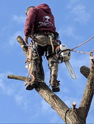 Hansens Tree Service