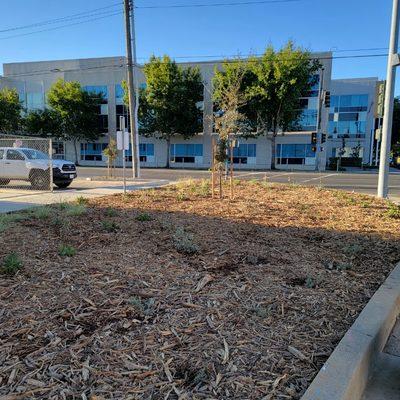 Drip irrigation, planting, & mulch installation
August 2022