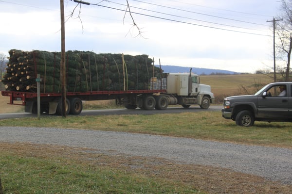 A fresh load of trees heading to the DC location.