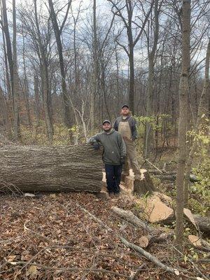 Big White oak down