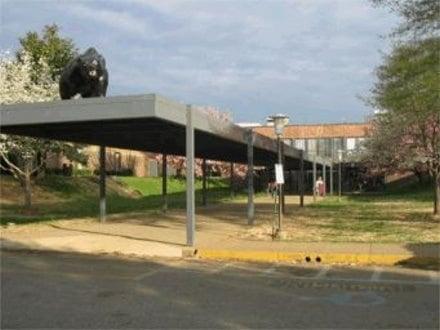 Bradley Central High School