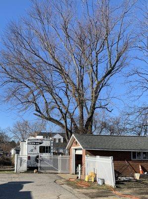 The trailer is where you can bring your cat if you are involved in TNR or are getting your approved shelter cat spayed/neutered.