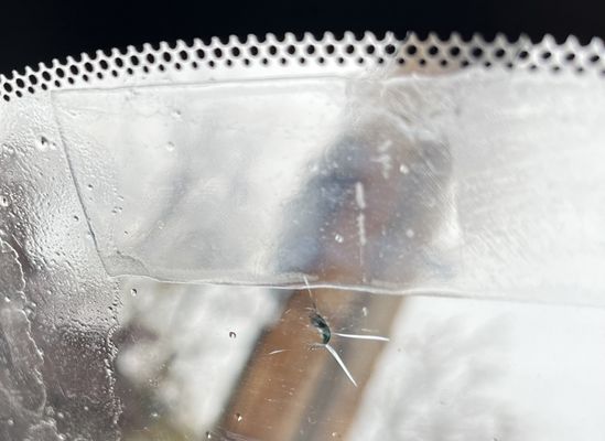 Windshield chip before repair