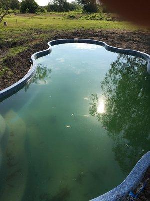 Green, muddy mess left behind on the incomplete job by Gary's Pool and Patio Corpus Christi office, but managed by McAllen GM