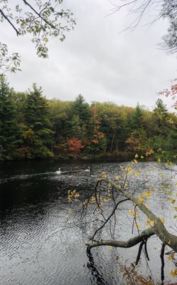 New England Fall