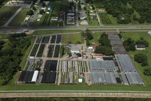 Langridge Plant Sales