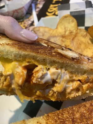 Buffalo chicken grilled cheese