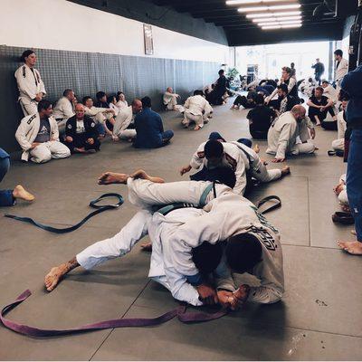 Brazilian Jiu Jitsu All Levels