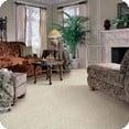 Professional Carpet Cleaning