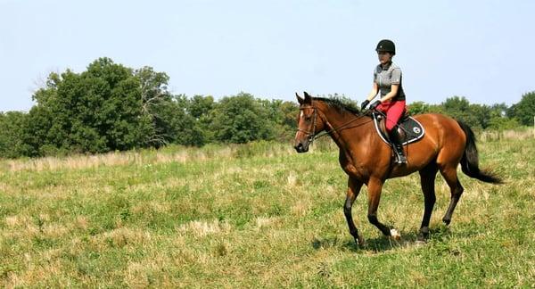 Walnut Slope Riding School