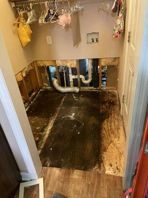 Water damage?  Oh yeah, we got you!