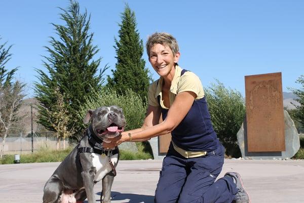 Woods University Dog Obedience Training